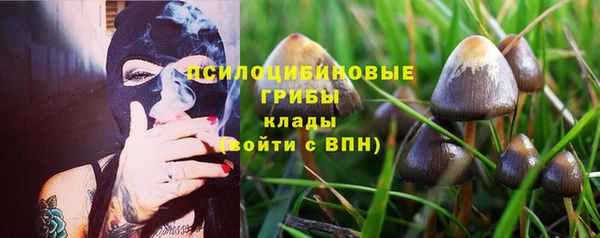марихуана Баксан