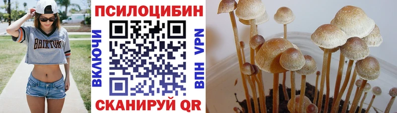 Псилоцибиновые грибы прущие грибы  Лаишево 